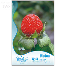 India Mock Strawberry Bonsai Seeds 60 Seeds Wild Strawberry Seeds Herb Plants Iw - $9.97