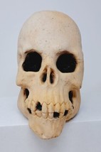VTG Rubies #01806 Skull Prop Skeleton Human Head Halloween Decor Horror Foam (A) - £14.99 GBP