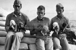 Pacific U.S. Marines Training Puppies To Be War Dogs WW2 4X6 Photo Postcard - £6.50 GBP