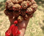 5 grandes perles Mukhi RUDRAKSHA Rudraksh Mala ROSARY 54+1 18-20 mm rouge - £30.01 GBP