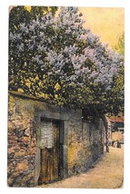 Painting Gate in Stone Wall R. N. Da Nr 3016 Made in Germany 1909 Art Postcard - £3.18 GBP