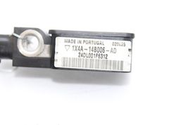 Item image 11