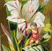 Antique Victorian Trade Card Fairy Girl Lily Flower 1880-90s 5.25 x 3.25 - £26.49 GBP