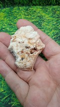 Vanadinite with Blades Mineral Specimen - Hillsboro Mining District, New... - $590.16 MXN