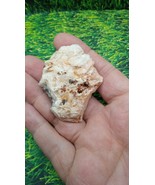 Vanadinite with Blades Mineral Specimen - Hillsboro Mining District, New... - $31.67