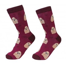 Cocker Spaniel Dog Socks Fun Novelty Dress Casual Unisex SOX Sock Daddy ... - £10.99 GBP