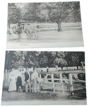 Lot of 2 Ostrich Farm, JACKSONVILLE, Florida Postcards Photos by Rust - $1.98