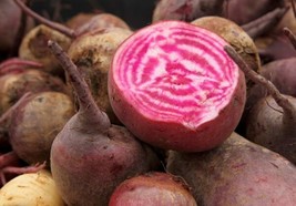 Beet Chioggia 100 Seeds Heirloom Open Pollinated Nongmo Fresh - £10.22 GBP