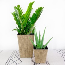 Catleza Set of 2 7-inch and 9.4-inch Square Self-Watering Planter Pot for Indoor - £25.50 GBP