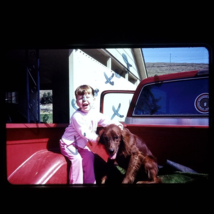 1981 Girl in Ford Truck with Dog Found 35mm Slide Photo Original OOAK - $8.49