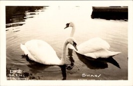 Black Hills SD Swans on Sylvan Lake South Dakota RPPC JM Fassbender Postcard Y7 - $9.95