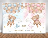 Bear Balloons Gender Reveal Backdrop We Can Bearly Wait Background Blue ... - $37.99