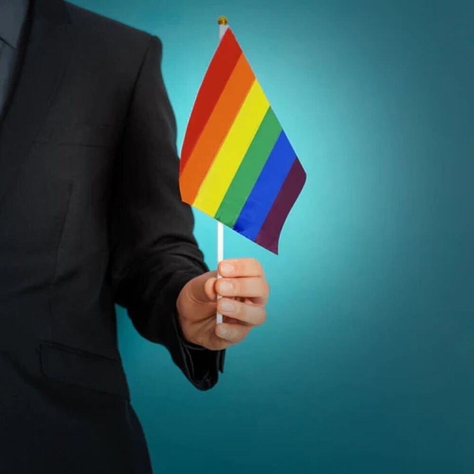 Rainbow Pride Flag 6x9 Inch 6&quot; x 9&quot; Hand Flag On Stick LGBTQ LGBTQIA+ - $2.67