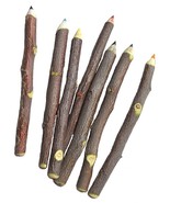 Apple Pencil™ - Bundle of Seven 5" Mixed Color Twig Pencils Made in the USA - $8.95