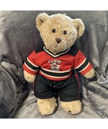 Build A Bear Curly Teddy Bear Brown Paws Vintage Retired 15” Hockey Uniform - $37.69