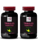 Tribulus for muscle support - TRIBULUS TERRESTRIS EXTRACT - Standardized... - $33.26