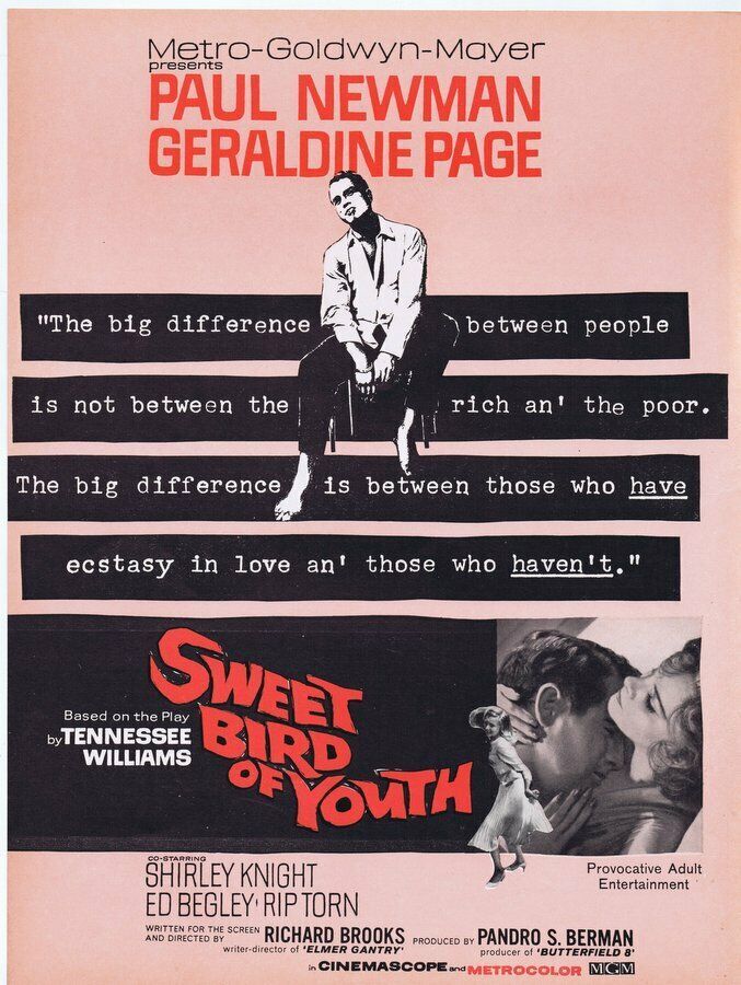 Primary image for Sweet Bird of Youth ORIGINAL Vintage 1962 9x12 Industry Ad Paul Newman