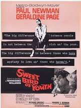 Sweet Bird of Youth ORIGINAL Vintage 1962 9x12 Industry Ad Paul Newman - £31.28 GBP