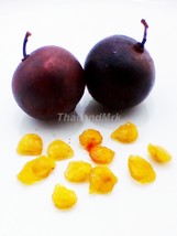 Ramontchi Flacourtia indica Salicaceae 10 Seeds ThailandMrk - $5.00