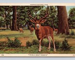 Deer is Wild About Yosemite National Park CA California Linen Postcard E16 - $3.91
