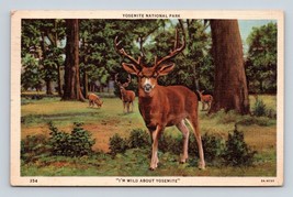 Deer is Wild About Yosemite National Park CA California Linen Postcard E16 - £3.07 GBP