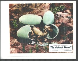 Animal World 8x10 Still Dinosaur Hatchling - $24.25