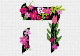 Pepita Needlepoint Canvas: Letter HEI, 10&quot; x 7&quot; - £40.26 GBP+