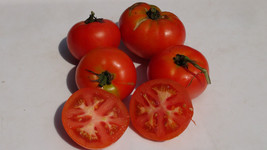 Creole Tomato Seeds 15 Seeds Non Gmo Seed Fresh Garden - £5.97 GBP