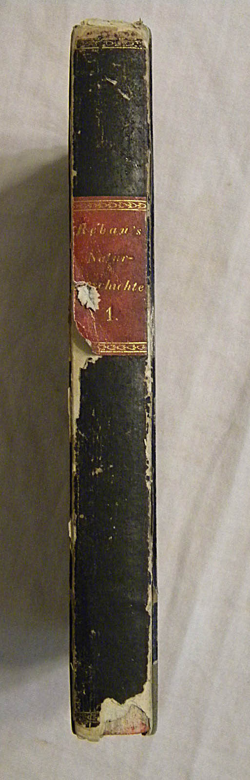 &#39;Naturgeschichte fur die Deutsche Jugen&#39;  Rebau, Heinrich   1829 book - $24.99