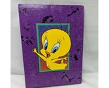 Vintage Looney Tunes Sylvester And Tweety Bird Holson Photo Album - £15.14 GBP