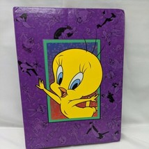 Vintage Looney Tunes Sylvester And Tweety Bird Holson Photo Album - £15.13 GBP