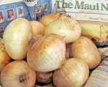 Maui Sweet Onion 450 Seeds Organic Fall Native Vegetable Garden - £4.71 GBP
