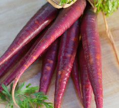 FA Store Carrot Cosmic Purple 100 Organic Seeds Heirloom Non Gmo Open Pollinated - £6.34 GBP