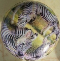 Ceramic Knobs W/ Zebra Family Knob AFRICAN WILDLIFE - £3.59 GBP