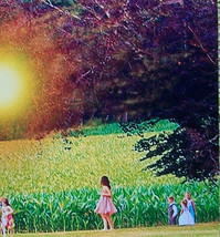  Surreal Photo Children in the Corn Nature Photography 8X10 Printed Photograph   - £15.92 GBP