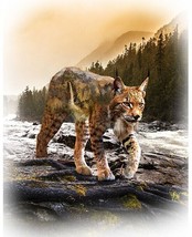 35&quot; X 44&quot; Panel Bobcat Mountain Waterfall Call of the Wild Cotton Fabric D478.45 - £13.17 GBP