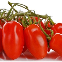 Best Seeds 50 Patio San Marzano Tomato Seeds Organic Solanum Lycopersicum - £11.41 GBP