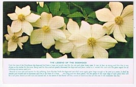 British Columbia Postcard Legend Of The Dogwood BC Floral Emblem - £2.32 GBP