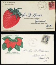 Ten Different Strawberry &amp; Fruit Advertising Covers Retail $760.00 - Stu... - $208.25