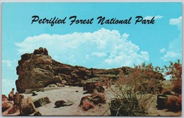 Vintage Petrified Forest National Park Arizona Old Faithful Tree Postcard - $14.45
