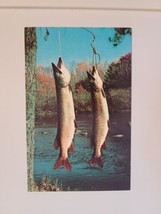 Eau Claire Wisconsin WI Fish Catch Hanging Chrome Vintage Postcard Fishing - $11.26