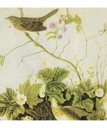 Lincoln&#39;s Sparrow Bird 1946 Color Art Print John James Audubon Nature DWV2D - $42.03 CAD