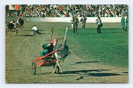 Ostrich Racing IRiverside County Fair Indio CA California UNP Chrome Postcard P5 - £7.86 GBP