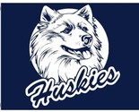 Connecticut Huskies Hand Blue Flag 3X5ft Banner Polyester with 2 Brass G... - £12.57 GBP