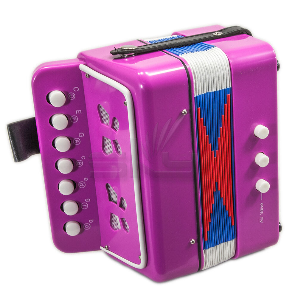 GREAT GIFT* NEW Top Quality Pink Accordion and 42 similar items