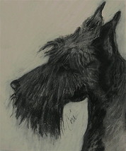 Scottish Terrier Dog Art Pastel Drawing Solomon - £181.73 GBP