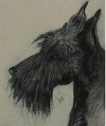 Scottish Terrier Dog Art Pastel Drawing Solomon - £183.17 GBP