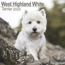 West Highland Terrier 2025 Square Wall Calendar | Dog Breed Calendar: Or... - £10.66 GBP