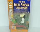 Peanuts It’s A Great Pumpkin Charlie Brown Snoopy and Woodstock Memory L... - $29.69