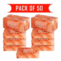 Himalayan Salt Bricks Wholesale Pack of 50 - $349.99